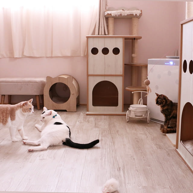 okuraさんの実例写真