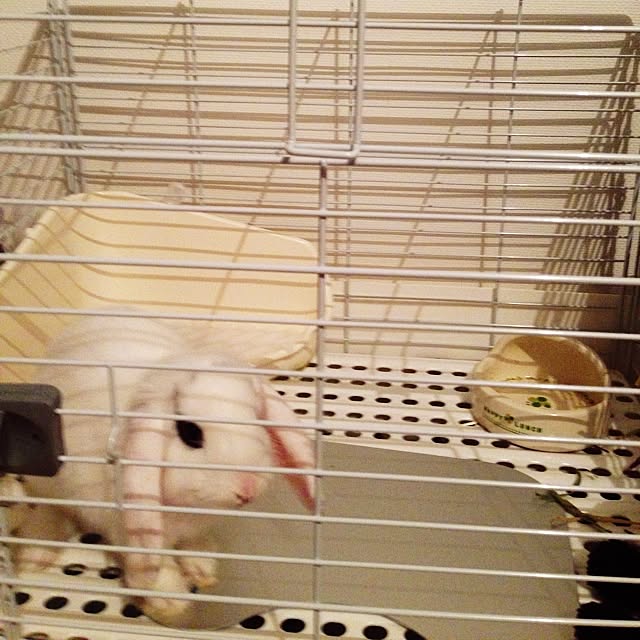 otukaresanさんの実例写真