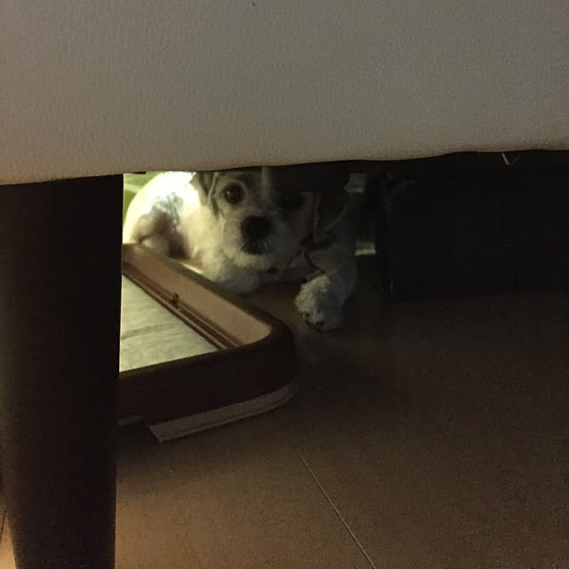 emiさんの実例写真