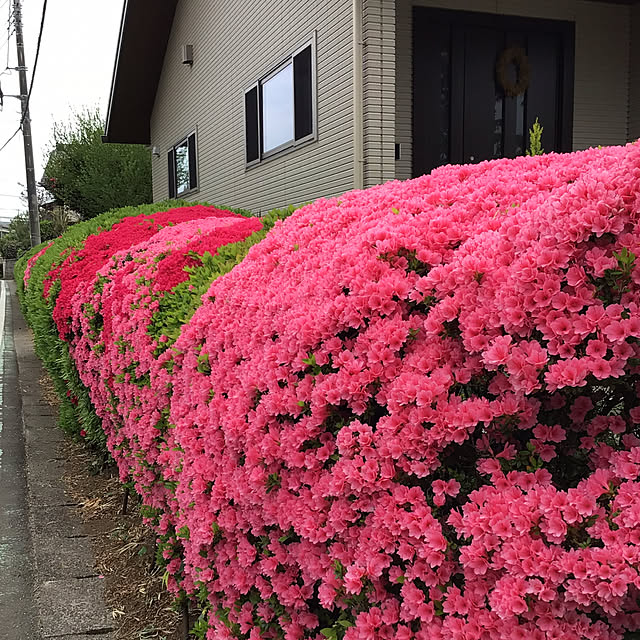 houenさんの実例写真