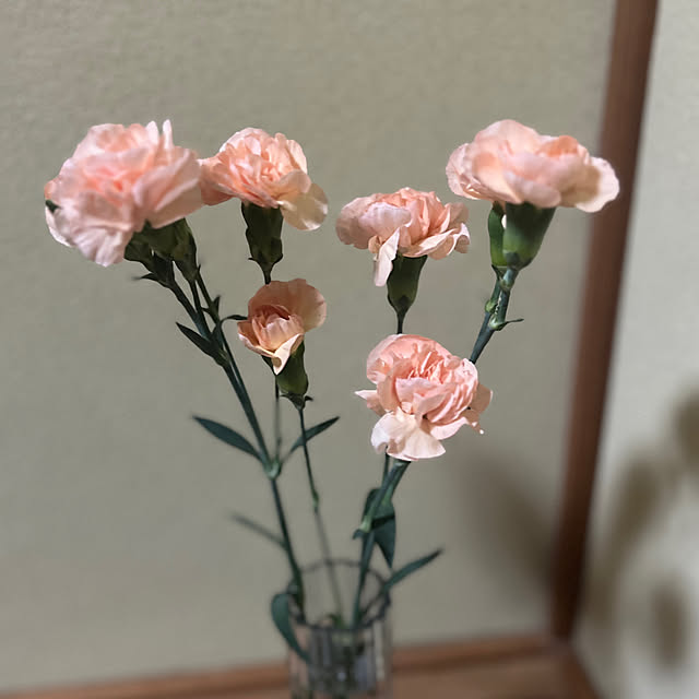 sakakenさんの実例写真