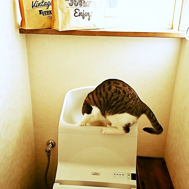 kiraさんの実例写真