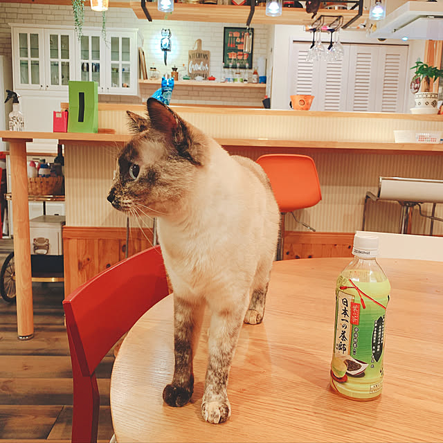 miyaさんの実例写真