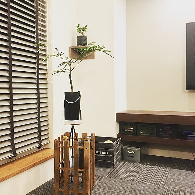 pepperさんの実例写真