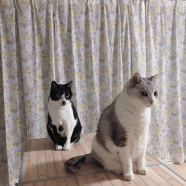 Lisbethさんの実例写真