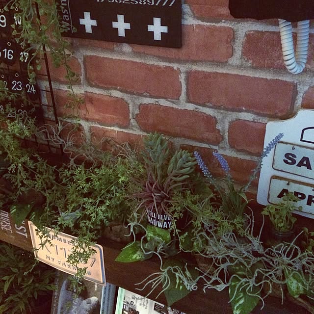 nonさんの実例写真