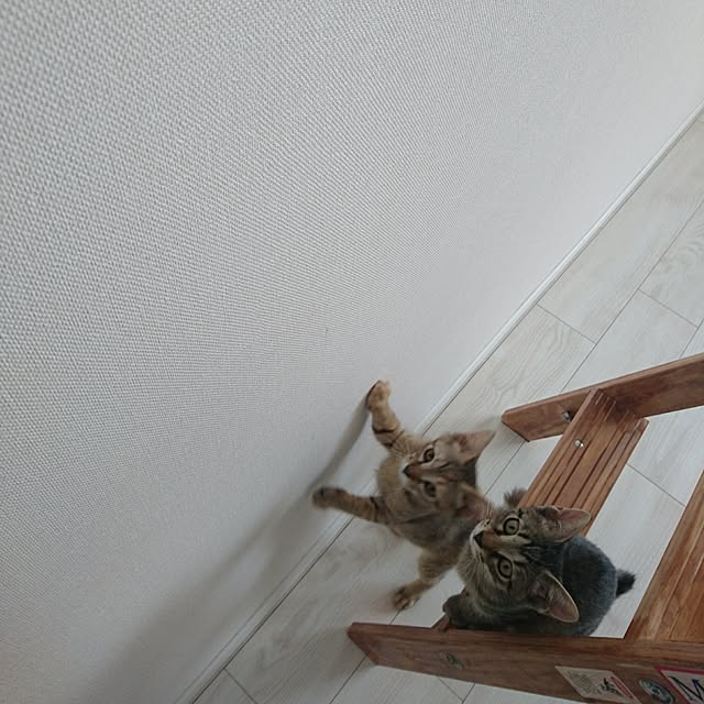 Etsukoさんの実例写真