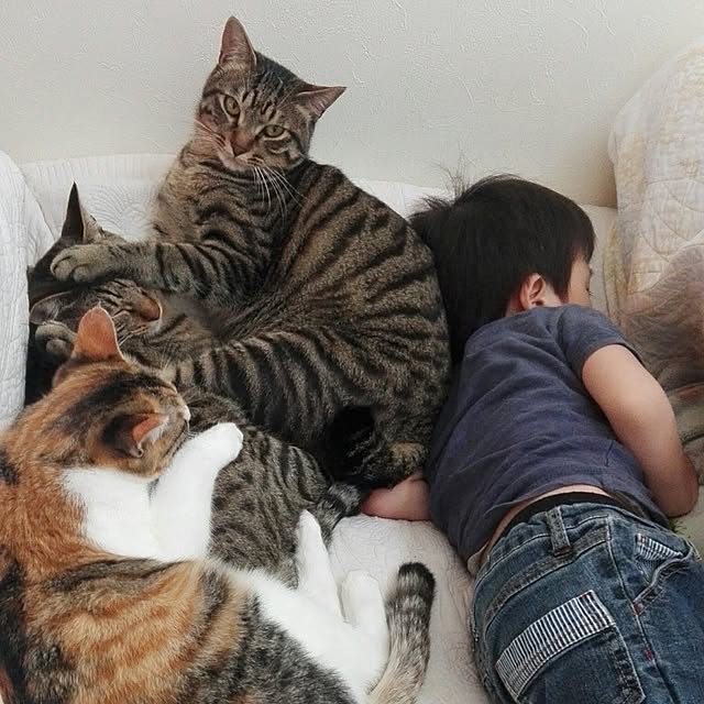 noraさんの実例写真