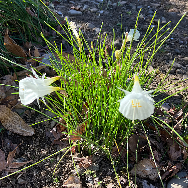 ikubooさんの部屋