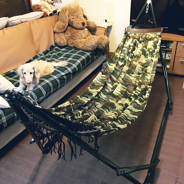 kazuさんの実例写真