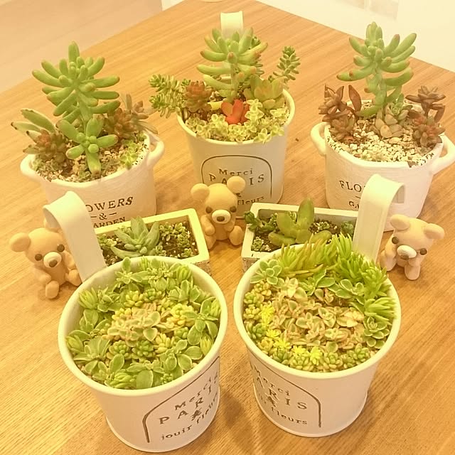kotonaさんの実例写真