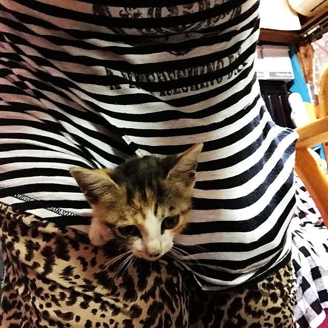 vivienne.coco-keiさんの実例写真