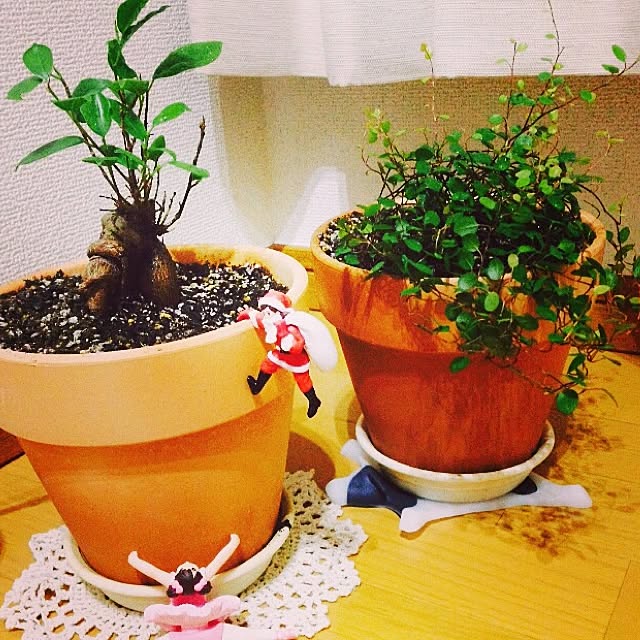 yumiさんの実例写真