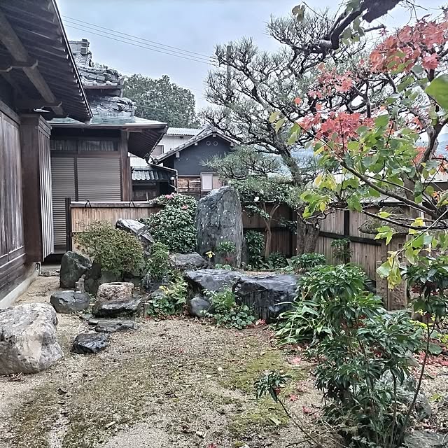 kuririnmamaさんの部屋