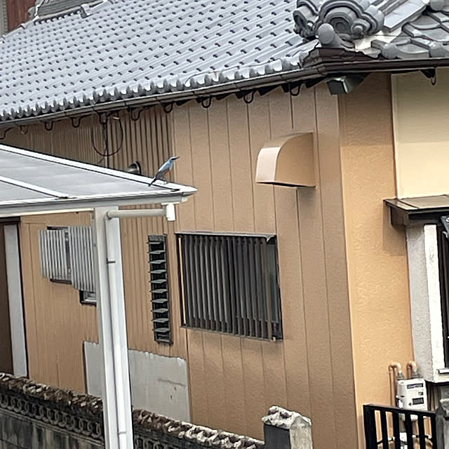 shin0719さんの実例写真