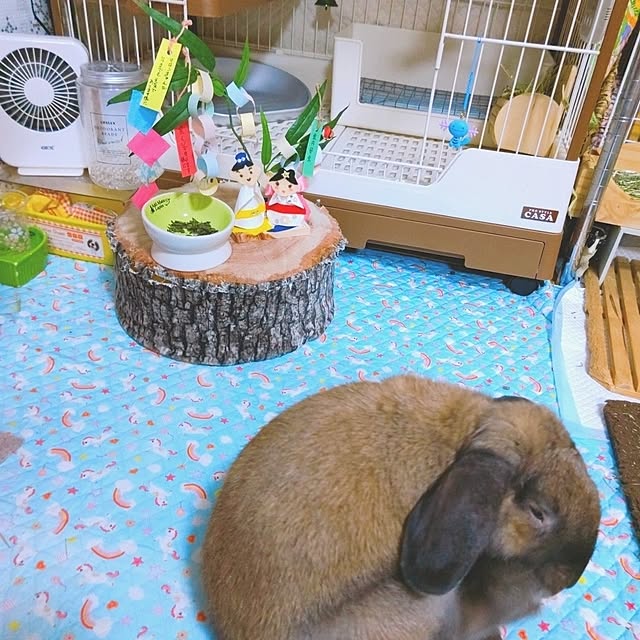 mariaさんの部屋