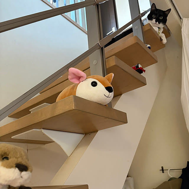nさんの部屋