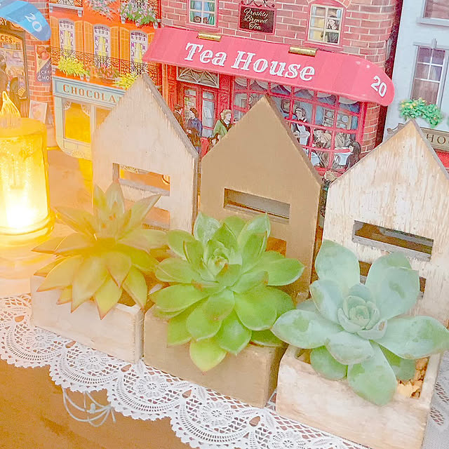 Hanakaさんの部屋