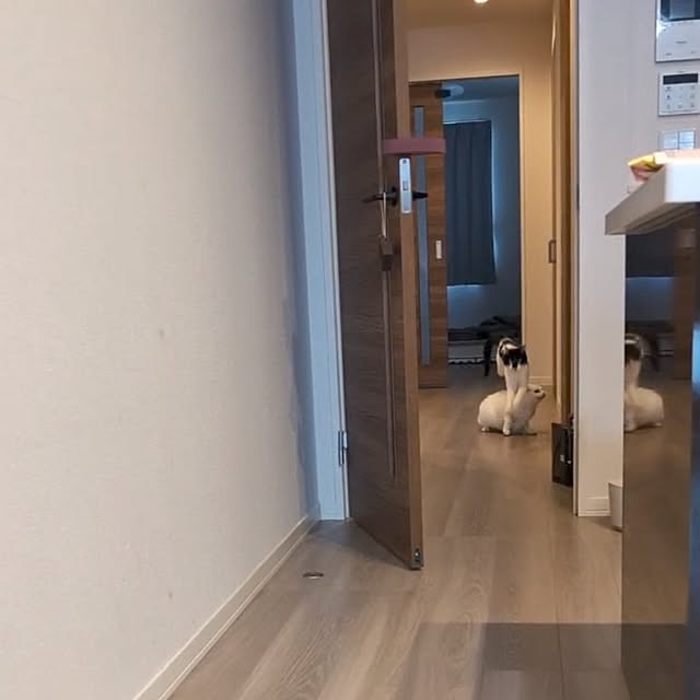NOAHさんの部屋