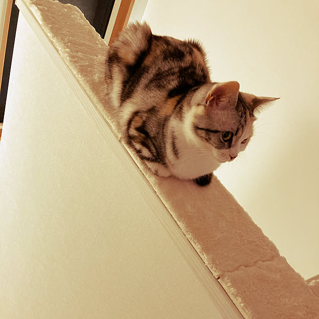 mikkumikuさんの実例写真