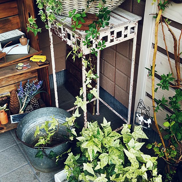 kochaさんの実例写真