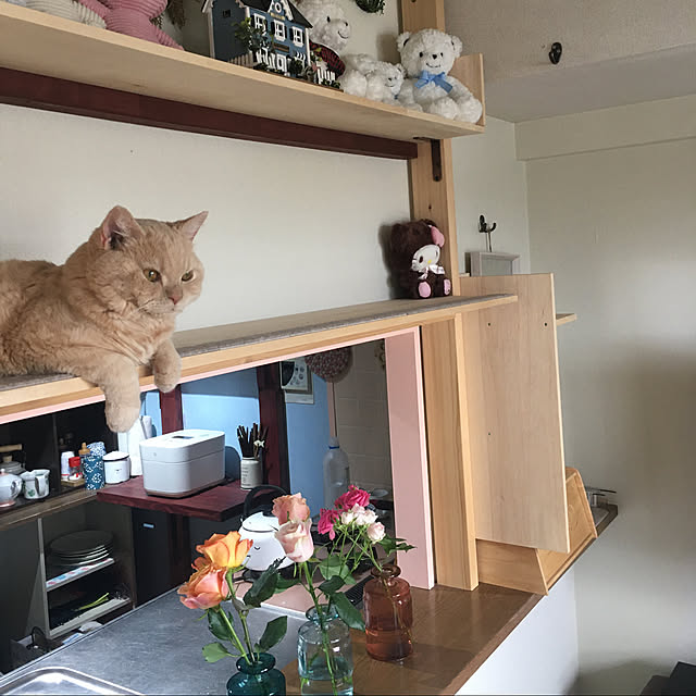 naokoさんの実例写真