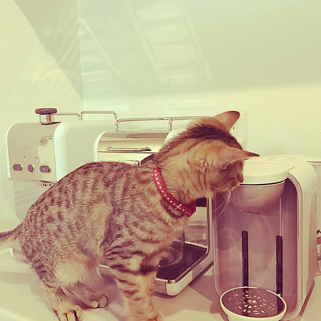 shimaさんの実例写真
