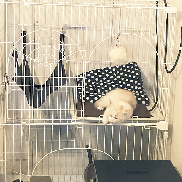 H.Tさんの実例写真