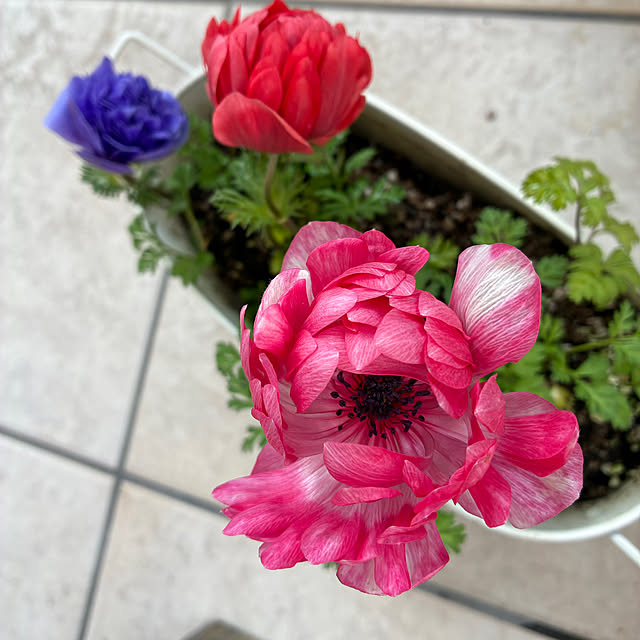 ayayayayaさんの部屋