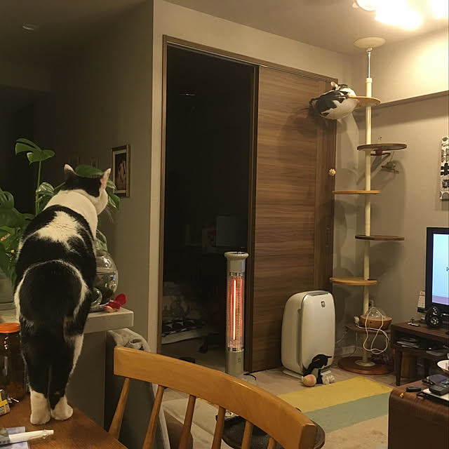 hanaさんの実例写真