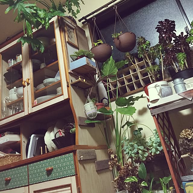 Norikoさんの実例写真