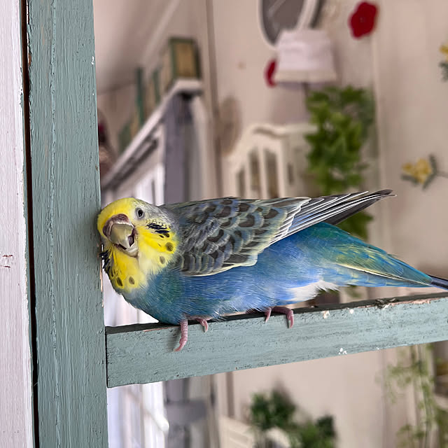 Atsukoさんの部屋