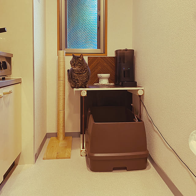 nocomomさんの実例写真