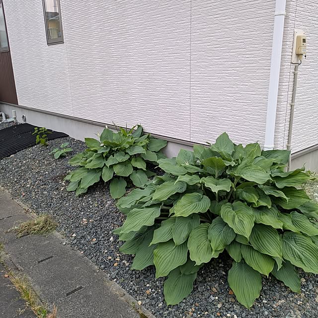 ranmamaさんの部屋