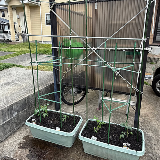 ritsukoさんの実例写真