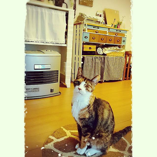 mofukoさんの実例写真