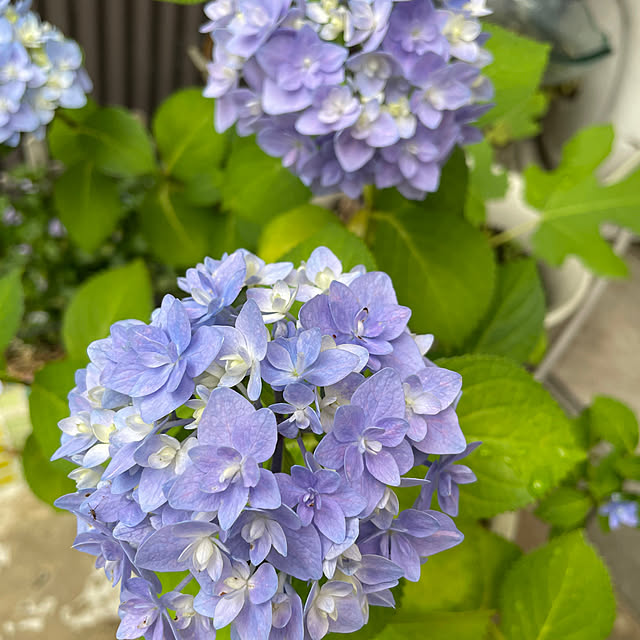 Yoshieさんの実例写真