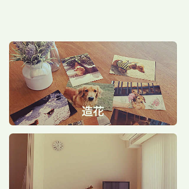 chachamamaさんの実例写真
