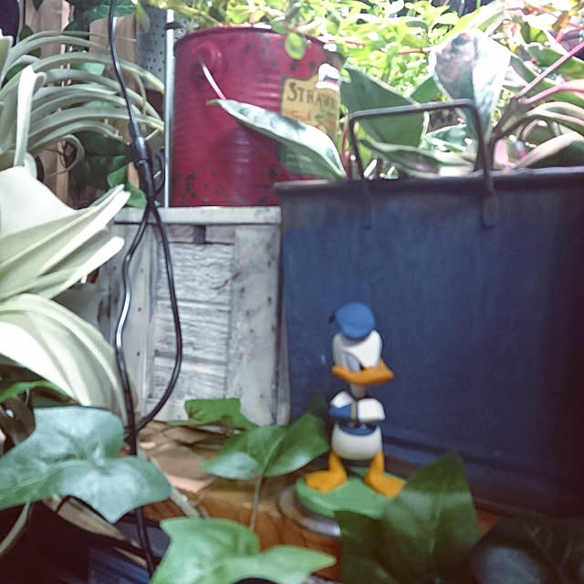 hiro4649さんの実例写真