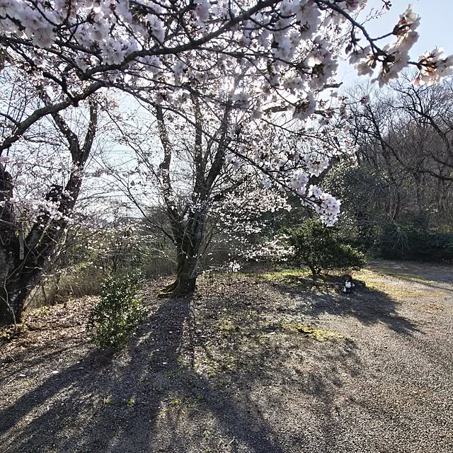 Rubiconさんの部屋