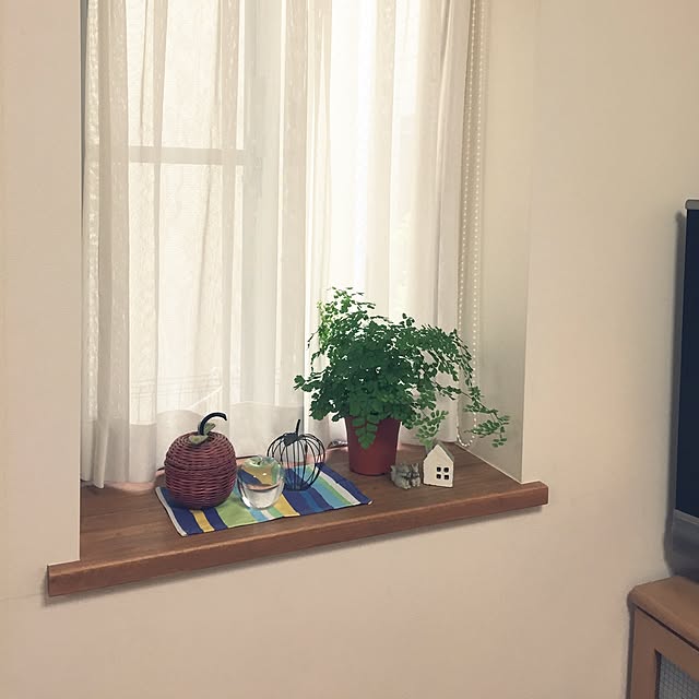 lilyさんの実例写真