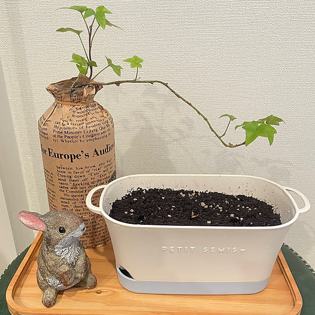 SIELUさんの実例写真