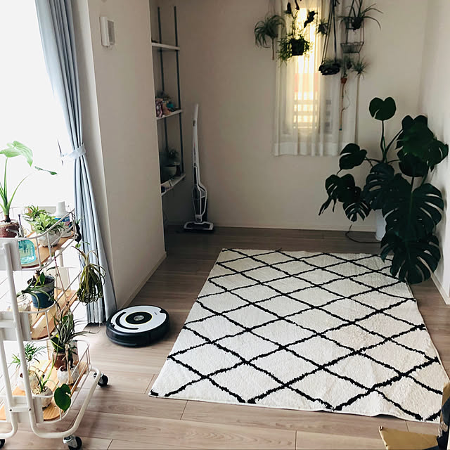 部屋全体/北欧/観葉植物のインテリア実例 - 2018-12-31 15:06:44