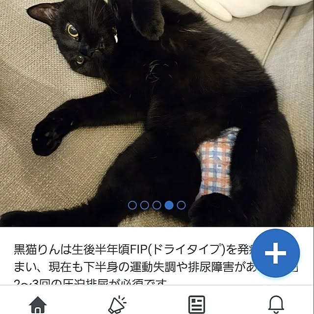 koyurizuさんの部屋