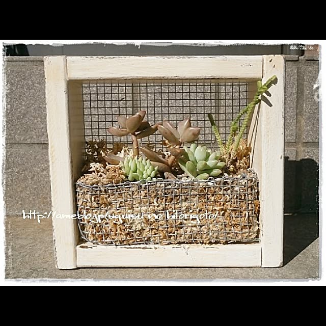 uguisuさんの実例写真