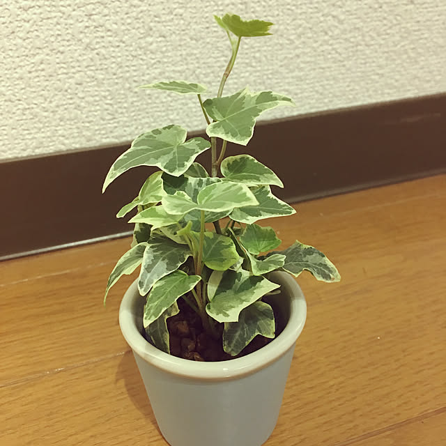 nakanoさんの実例写真