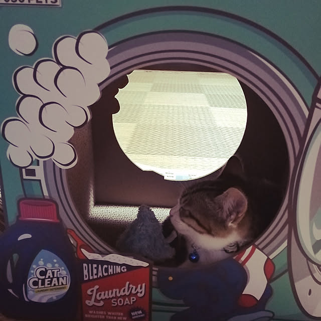 teruminさんの実例写真