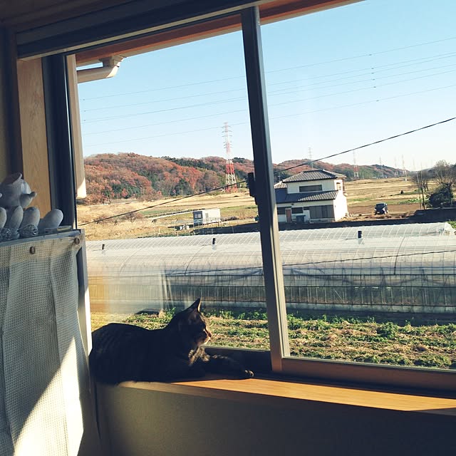 mikanさんの実例写真