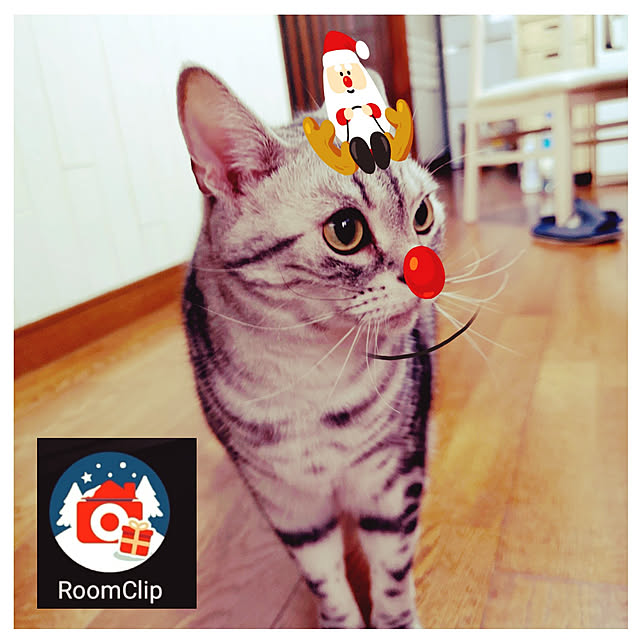 kumingさんの実例写真