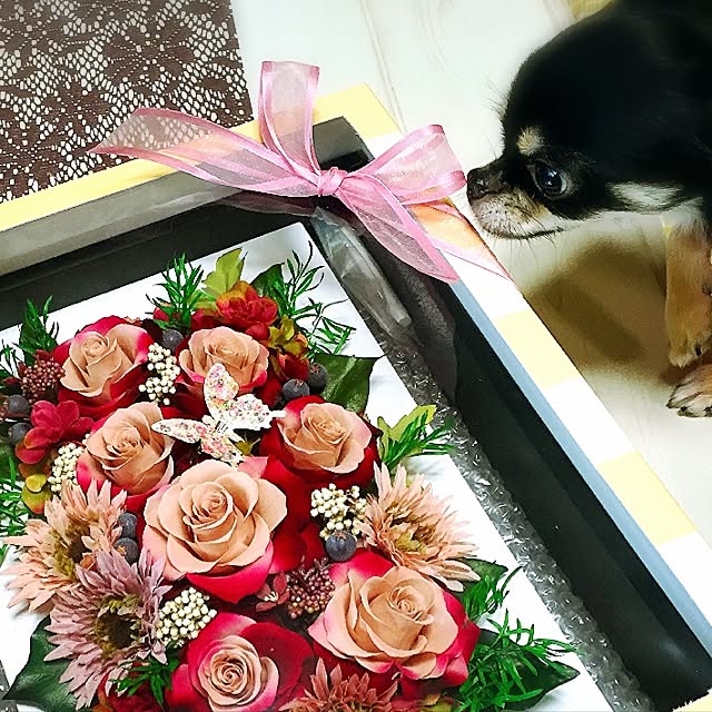 xigyanさんの実例写真